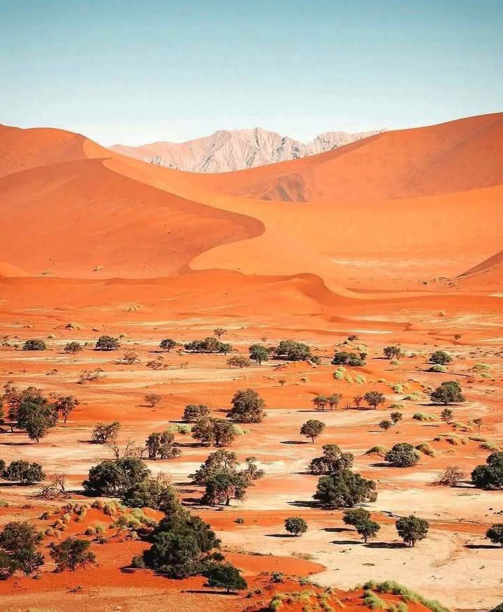 Namibia’s Namib Desert: A Red Dune Paradise Like No Other
