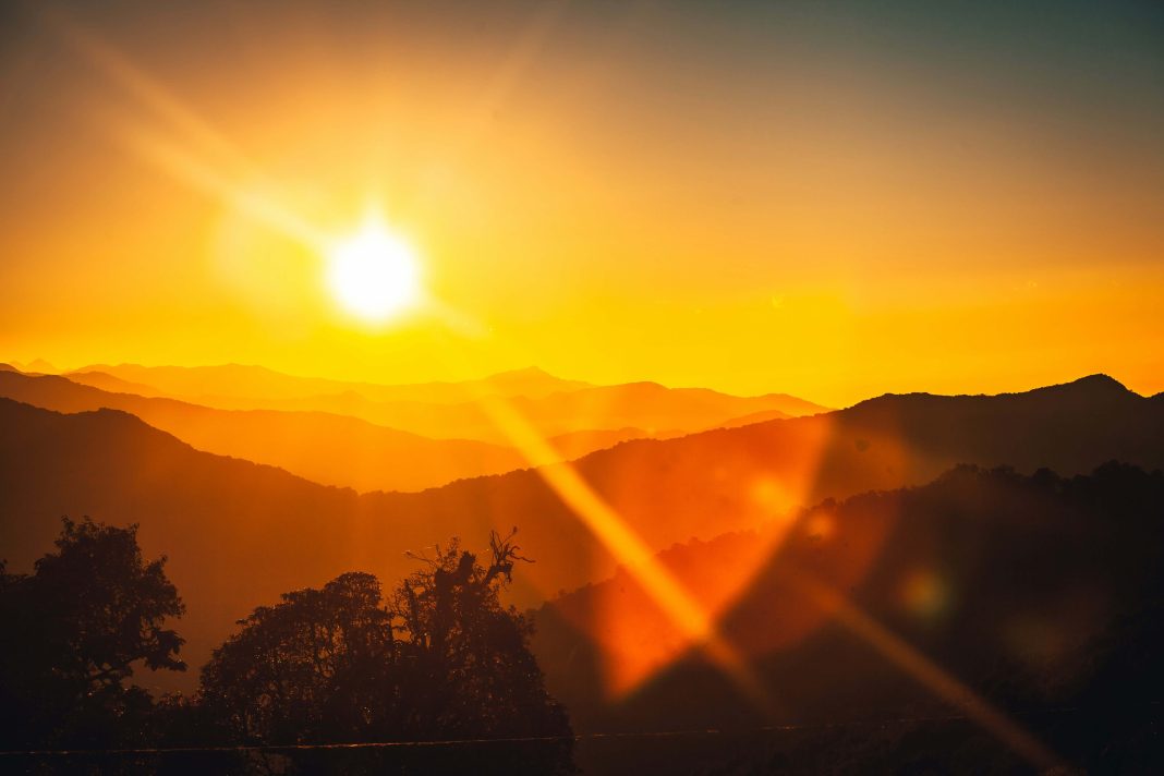 Sunlight and Immunity: How Daily Exposure Releases 200+ Antimicrobials