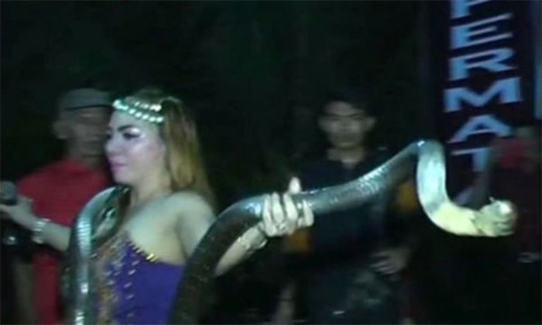 The Serpent Singer: The Story of Irma Bule