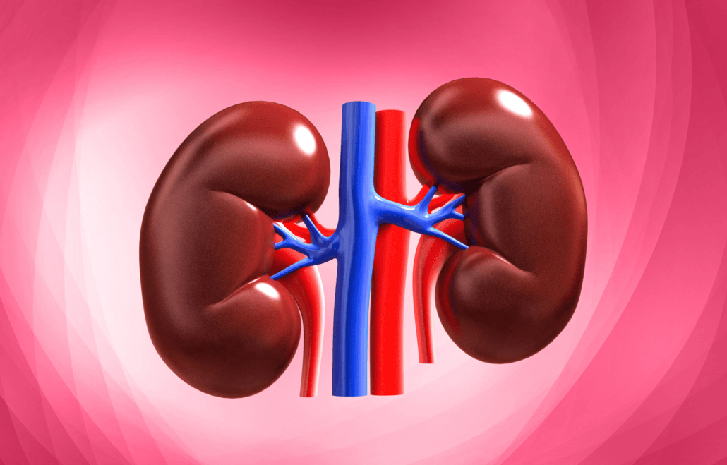 Kidney Health Healing Foods : Natural Remedies for Stones, Creatinine, and Inflammation Kidney Health Healing Foods